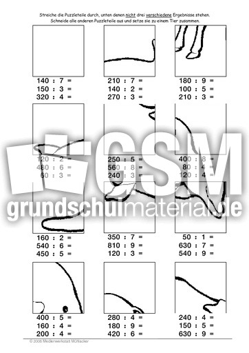 Delfin.pdf